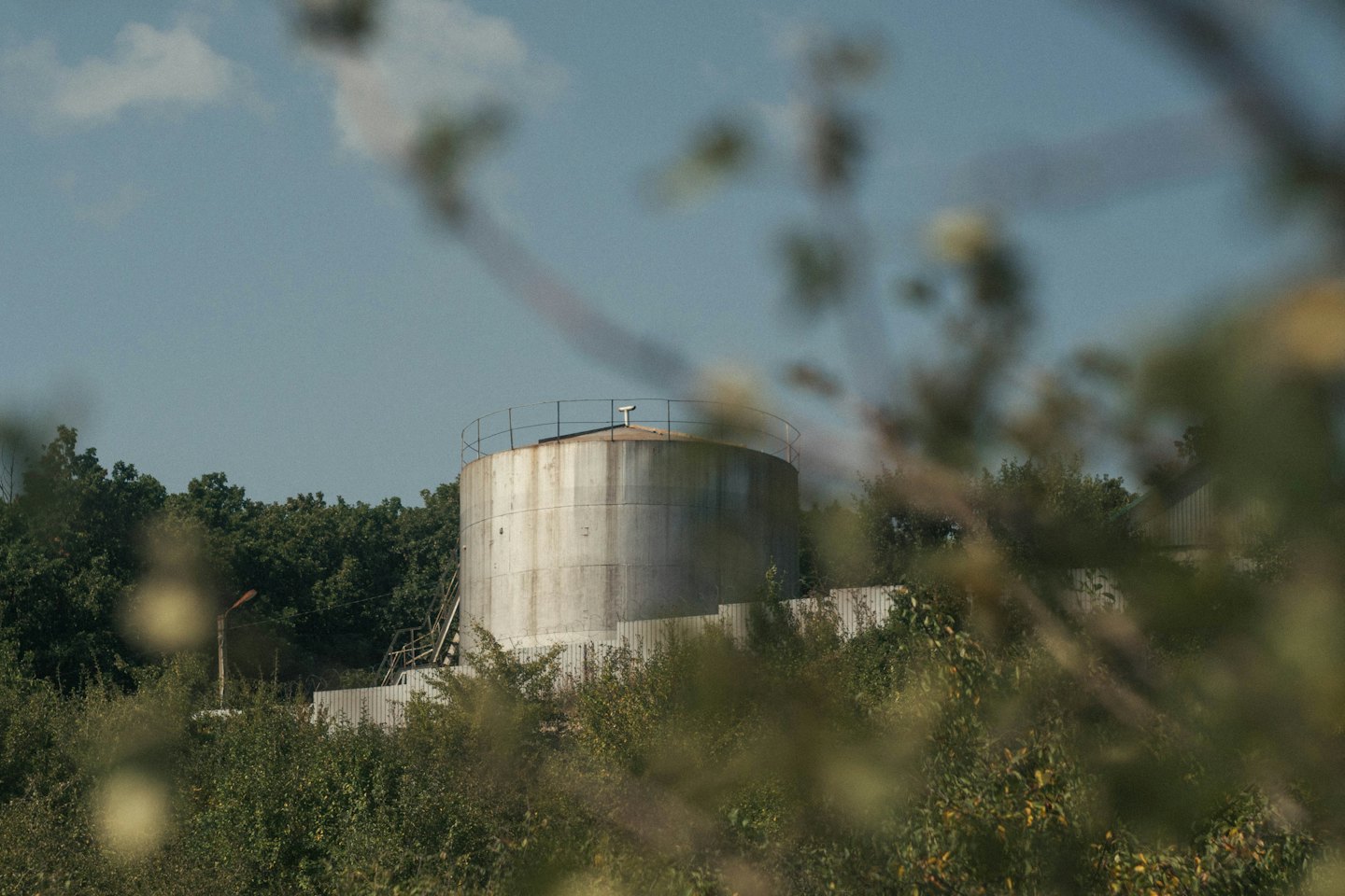 Weathered industrial water tank surrounded by green foliage.