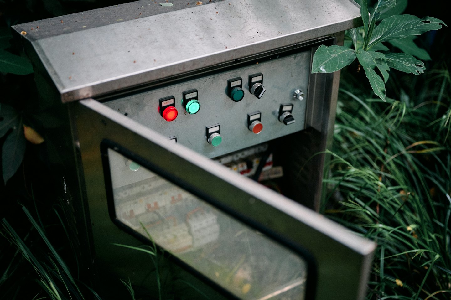 An open electrical control box sits surrounded by lush foliage.